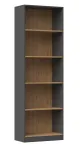 Topeshop R60 ANT/ART biuro knygų spinta
