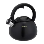 Tefal N4180410 Express Control nerūdijančio plieno virdulys 2,5 L indukcinis sidabrinis/juodas