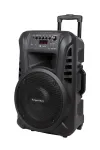 KRUGER & MATZ KM1712 40W aktyvioji garso kolonėlė su 2 UHF belaidžiais mikrofonais, Bluetooth, USB, SD, FM radiju
