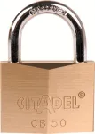 ABUS 60 mm kieto žalvario spyna su grūdinto plieno lankeliu, 2 raktai (238420)