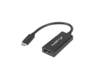 Vaizdo kabelio adapteris Lanberg AD-UC-DP-01