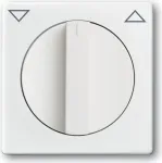 BUSCH JAEGER 1710-0-3172 - Wei&szlig; - Busch-Jaeger - 1101-0-0534 1101-0-0542 1101-0-0559 1101-0-0567 - 63 mm - 63 mm - 1 St&uuml;ck(e)