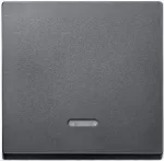 MERTEN EL SM 431014 - System M, svirtis, kontrolinis langelis, antracitas, matinis (431014)