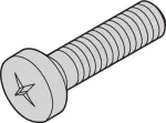 SCHROFF NTS FLKOSCHR.M3X6 SN11 100 vnt. (21102024)