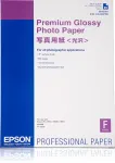 Epson Premium Glossy Photo Paper, A2, 255 g/m&sup2;, 25 lapų