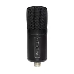 SGG Stagg SUSM60D USB kondensatorinis mikrofonas