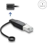 Delock USB Type-C tinklo adapteris Gigabit LAN 1 x RJ45 ki&scaron;tukas