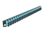Patch panel DeLOCK 43366 &ndash; 1U priekinis skydelis SC lizdams 19 inch dėžei