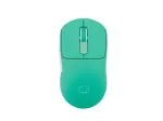 Belaidė pelė Fury Tanto T4 Mint Green &ndash; reguliuojamas DPI, USB imtuvas, ergonomi&scaron;kas dizainas