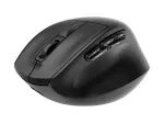 Gembird MUSW3-9B-01 belaidė ergonominė pelė su trimis režimais (2.4 GHz + Bluetooth + USB-C), 2400 DPI, 9 mygtukai, juoda