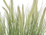 EUROPALMS Žydintys dirbtinės dekoratyvinės žolės, 70cm, balti žiedai, juodas vazonas 82600147