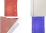 Kangaro College Block 4-in-1 bloknotas, DIN A4, 100 lapų, liniuotė, raudonu PP vir&scaron;eliu, 80 gsm popierius, 4 kilnojami skiriamieji lapai - 1 vnt. (K-58380)