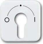 BUSCH JAEGER centrinė dengiamoji plok&scaron;tė aws f.Key Switch 2557 SLPZ-21