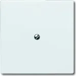 BUSCH JAEGER 2138-32 jungiklis baltas IP44 71x71 mm 1,3 cm