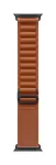 Apple 49mm Terra Cotta Alpine Loop - vidutinis - Black Titanium apdaila