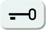 BJ - Reflex SI - Tastersymbol Schl&uuml;ssel *alpinweiss* (2525TR-214)