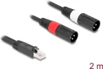 Audio kabelis DeLOCK 88173 2 m RJ-45 2 x XLR 3-pin Juodas