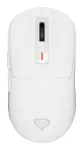 GENESIS NMG-2194 pelė Žaidimų Ambidextrinė Bluetooth + USB Type-C Optinė 26000 DPI