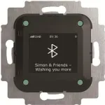 Busch-Jaeger Busch-Radio BTconnect DAB+ su Bluetooth sąsaja 8217 U-101 (2CKA008200A0278)
