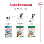 &Scaron;lapias &scaron;unų ėdalas Royal Canin Mini Adult mai&scaron;elis 85 g, pauk&scaron;tiena, mažoms veislėms 5&ndash;10 kg, 12 &times; 85 g pakuotė