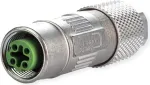 METZ CONNECT M12 lizdas D-koduotas IP67 montuojamas vietoje (MMF881A115)
