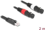 DeLOCK 88176 garso kabelis 2 m RJ-45 2 x XLR 3 kontaktų juodas