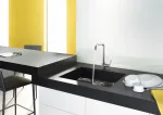 Hansgrohe Focus M41 vienos svirties virtuvės mai&scaron;ytuvas Inox 31820800