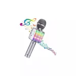 BEMI M85 &bdquo;Karaoke&ldquo; mikrofonas su garsiakalbiu, balso keitikliu, įra&scaron;ymu, &bdquo;Bluetooth&ldquo;, USB ir &bdquo;Micro SD&ldquo;