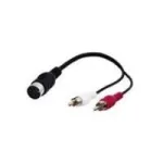 Wentronic Goobay DIN/RCA adapterinis kabelis, 0,2 m - DIN lizdas 180&deg; (5 kontaktų) > 2x RCA ki&scaron;tukas (audio kairė/de&scaron;inė) (50004)