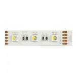 Synergy 21 LED Flex Strip 5050 - 60 RGB DC24V + RGB-W vienas lustas SWW IP20