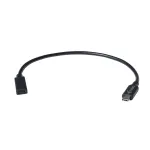 USB-C ilginimo laidas i-tec C31EXTENDCBL 30 cm