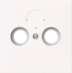 BUSCH-JAEGER 1743-44G centrinis dangtelis Antena 2 / Trigubas (2CKA001724A4432)