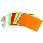 LEITZ Esselte pakabinamų bylų etiketės spintelėms, baltos, 60 x 12 mm, 100 vnt. (326400)