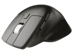 Tracer 47420 belaidė optinė pelė Slick Silent RF