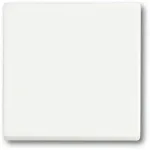 Jungiklis Busch-Jaeger 1751-0-3027 &mdash; plastikinis korpusas, baltas, mygtukinis valdymas, 63&times;63 mm