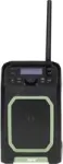DAB+ radijas Imperial Telestar Dabman OR 5 Žalia/Juoda modelis 22-109-00