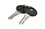 DIGITUS DN-19-KEY-4444 užrakto raktas, tipas 4444, SOHO PRO DN-1019 / DN-DVR-1 sieninėms spintoms, juodas/sidabrinis, 2 vnt.