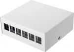 Renkforce 6 prievadų tinklo pataisų dėžutė CAT 6a (RF-4532672)