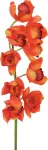 EUROPALMS Cymbidium &scaron;akelė, dirbtinė, raudona, 90cm (82530315)