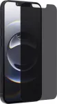Renkforce privatumo apsauginis ekrano stiklas iPhone 16e 1 vnt. &scaron;oninis (RF-6788308)