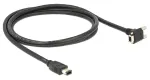 FireWire kabelis DeLOCK 83589 2 m 6-p 9-p juodas