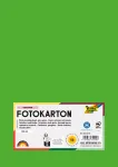 Folia 614/50 55 - Green - Solid - A4 (210 x 297 mm) - 300 g/m&sup2; - 50 Sheets - Germany