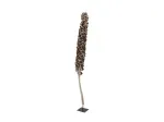 EUROPALMS Cacho Coco dirbtinė kokoso palmė, 120-190 cm, tikro medžio kamienas, 12 lapų, vidaus patalpoms 83502349