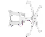 TV laikiklis prie sienos /37-70/BALTAS M5-W Onkron