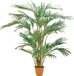 EUROPALMS Kanarinių datulių palmė dirbtinė 240cm 82511311