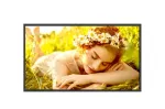 LG 32UL5Q-M 32" 4K UHD skaitmeninės reklamos ekranas
