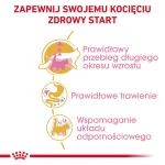 Sausas kačių ėdalas Royal Canin Maine Coon Kitten 2 kg &ndash; pauk&scaron;tiena, baltymai 36%, riebalai 23%