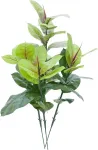 EUROPALMS dirbtinis kaučiukmedis 100cm, tikrovi&scaron;kas Ficus elastica, juodame plastikiniame vazone 82508303