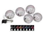 EUROPALMS LED sniego kamuoliukai 8 cm, alyvinės spalvos, 5 vnt. rinkinys 83501240