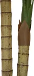 EUROPALMS Areca palmė, 2 kamienų, dirbtinis augalas, 120 cm (82509410)